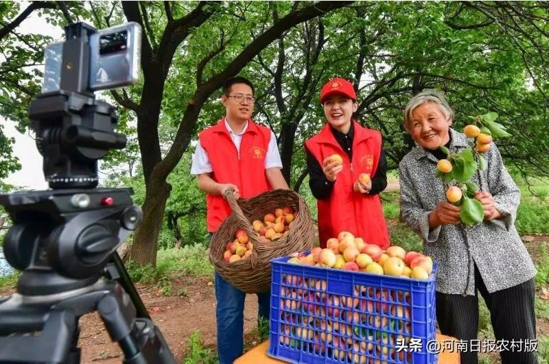 >河南日报农村版 | 红旗渠干部学院组织党员教师深入扶贫帮扶村林州市石板岩镇马鞍垴村开展“助力