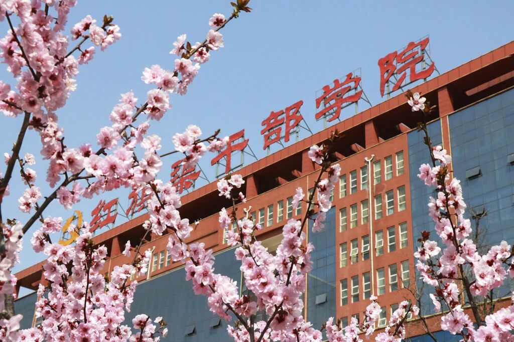 微信图片_2026-04-17_115336_108.jpg